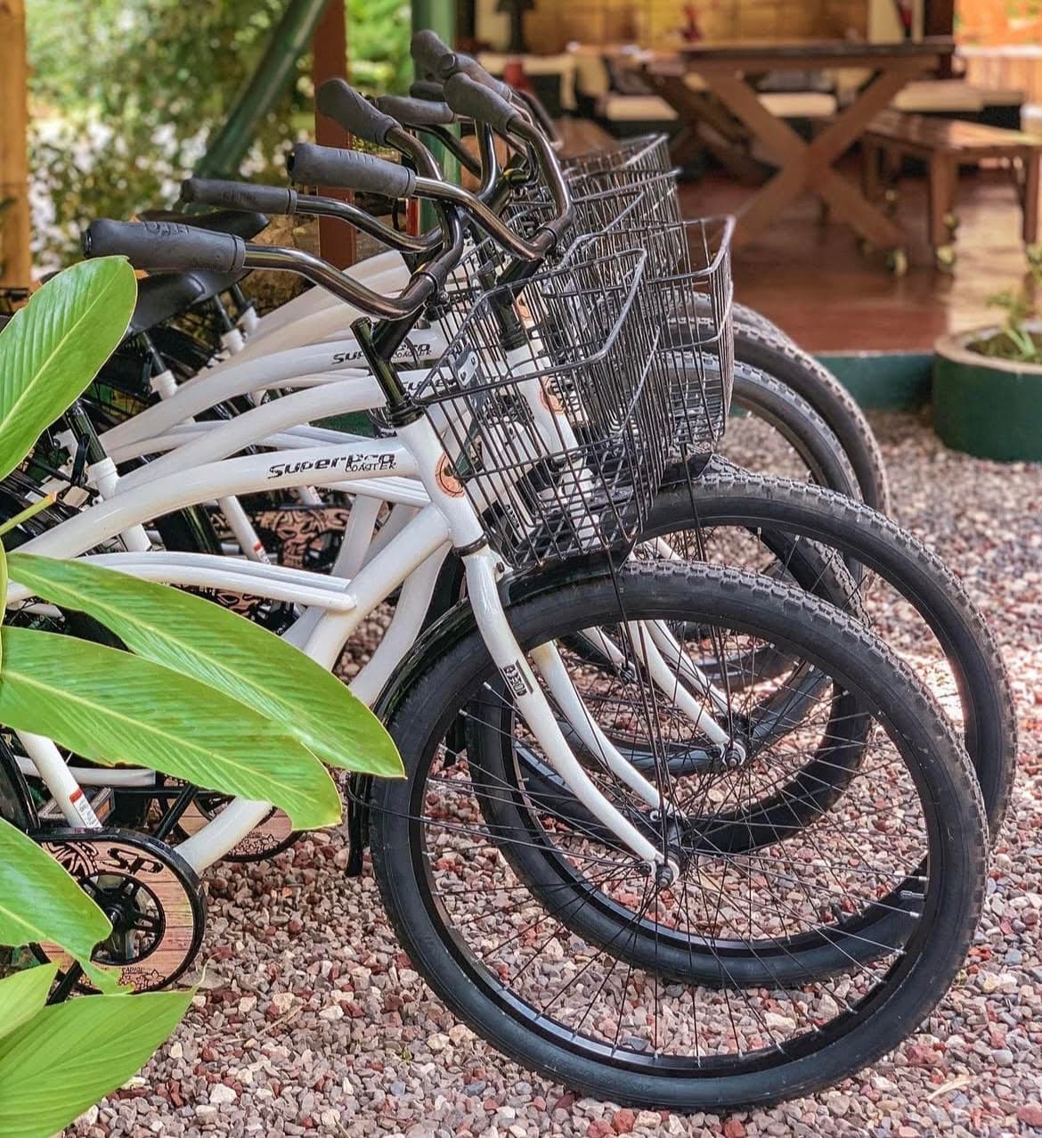 Bike rental services for exploring Jaco Costa Rica