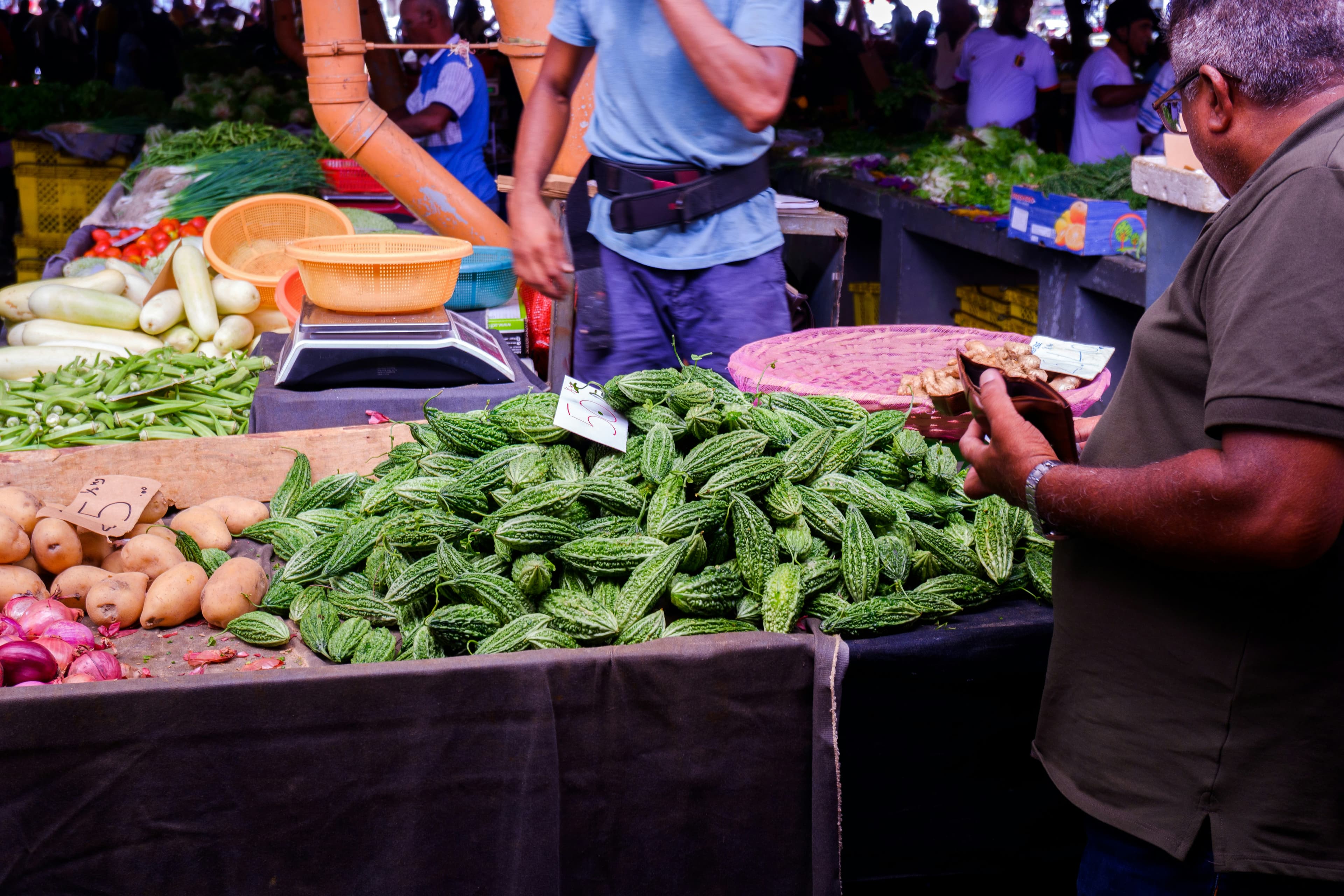 Grocery and shopping services for vacation rentals in Costa Rica